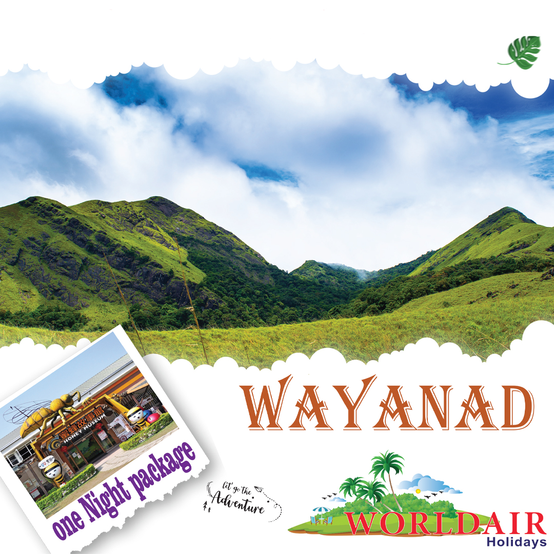 WAYANAD ONE NIGHT PACKAGE